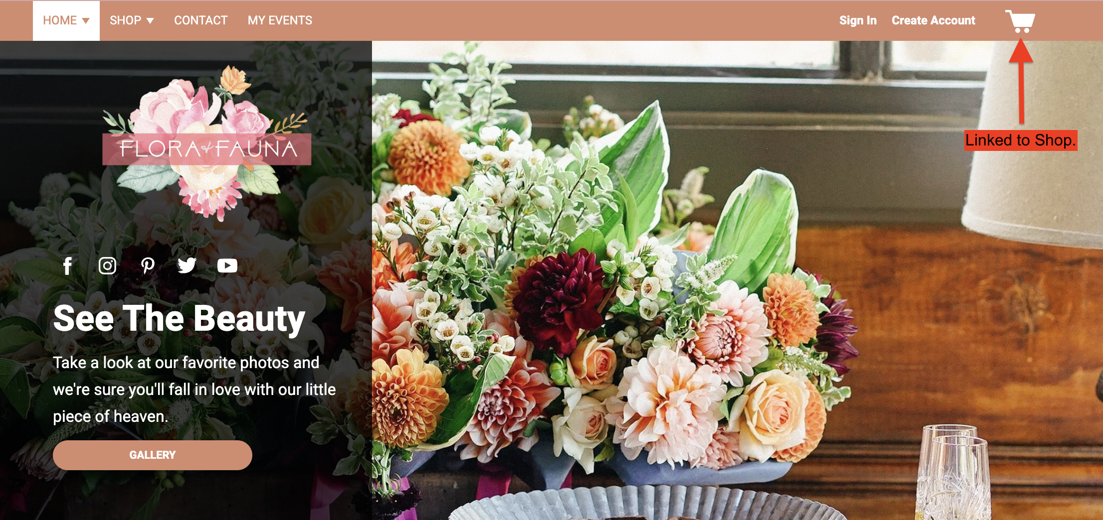 Screen_Shot_2023-01-19_at_10.35.00_AM.png